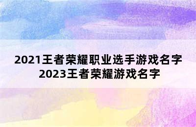 2021王者荣耀职业选手游戏名字 2023王者荣耀游戏名字